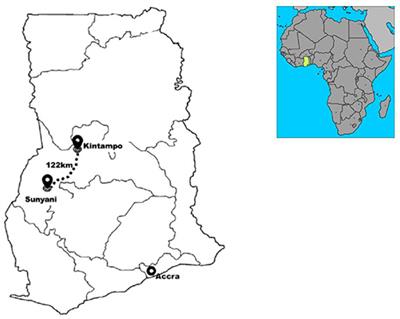 Head Injury Prevalence in a Population of Injured Patients Seeking Care in Ghana, West Africa